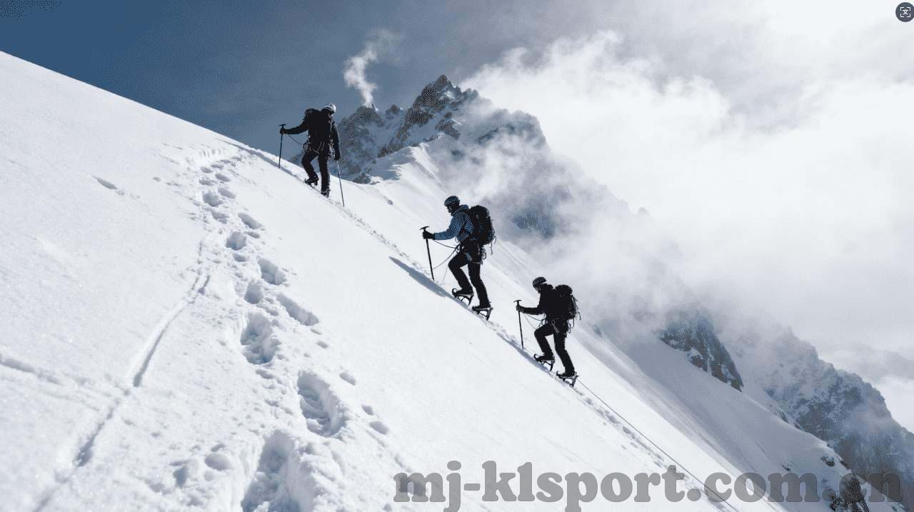 kaiyun体育官方app下载-Karens Sports Experience with the Official App